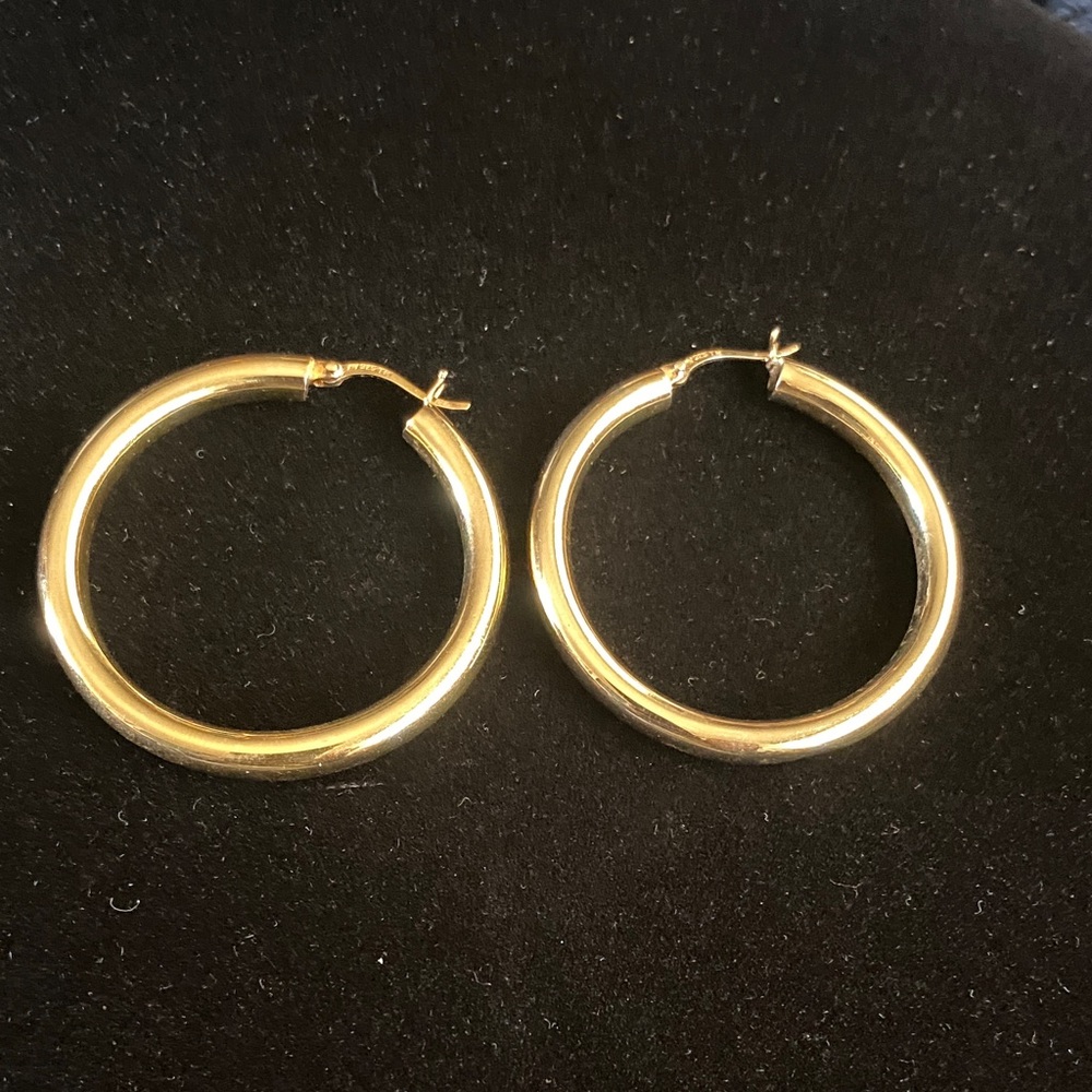 Elegant Gold Hoop Earrings